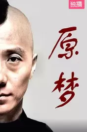 原梦海报