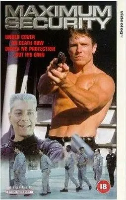 最高安全(国语)海报