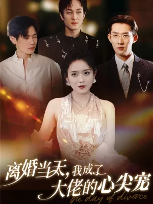离婚当天我成了大佬的心尖宠海报