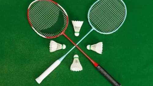 2023海露羽毛球赛张殊贤郑雨VS麦尔肯蒂格森海报