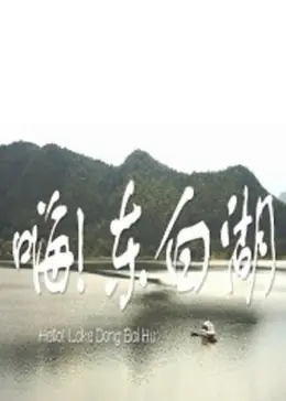 嗨东白湖海报