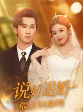 说好退婚你怎么当天就反悔海报