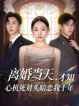 离婚当天,才知心机死对头暗恋我十年海报