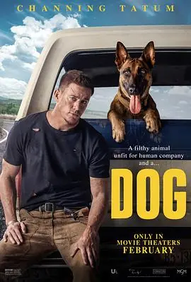 忠犬Dog海报