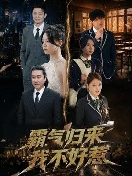霸气归来我不好惹海报