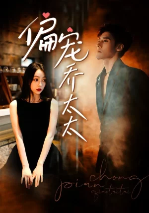 偏宠乔太太海报