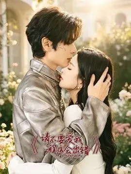 请不要爱我,程序会出错海报