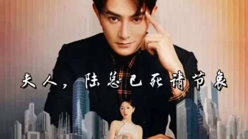 夫人,陆总已死请节哀海报