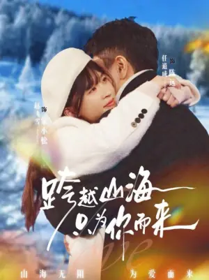 跨越山海只为你而来海报