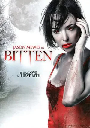 与吸血鬼同床海报