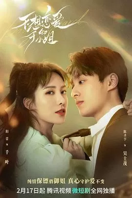 不想恋爱的千金小姐海报