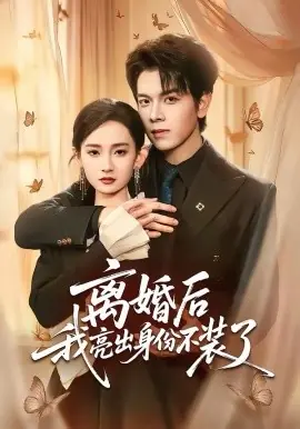 离婚后我亮出身份不装了海报