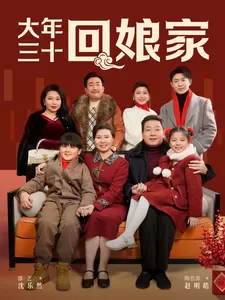 大年三十回娘家海报