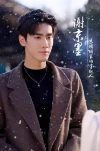 在第一千次日落时爱你海报