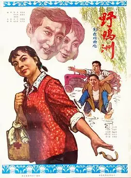野鸭洲海报