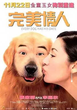 完美情人海报