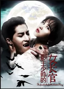 影王少帅的女长官海报