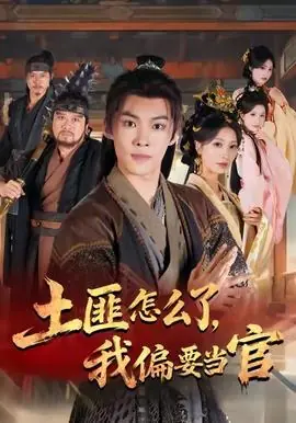 土匪怎么了我偏要当官海报