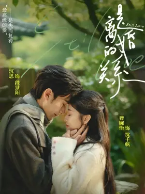 是离婚的关系海报