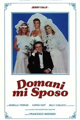 俺明天就要结婚了海报