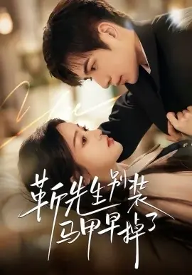 靳先生别装马甲早掉了海报