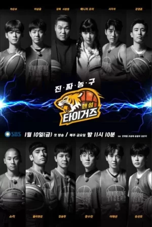 真正的篮球海报