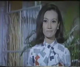 单身女郎海报