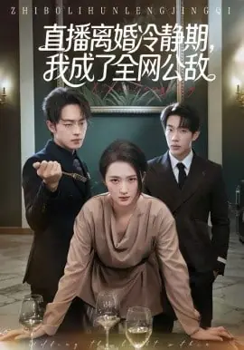 直播离婚冷静期,我成了全网公敌海报