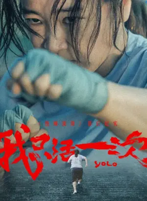 我只活一次海报