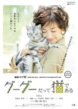 咕咕是一只猫第一季海报
