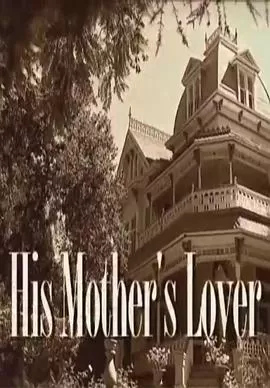 他妈妈的情人海报