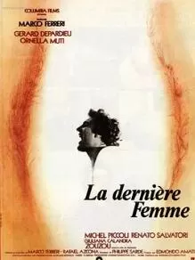 最后的女人海报