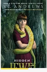 隐藏的宝石海报