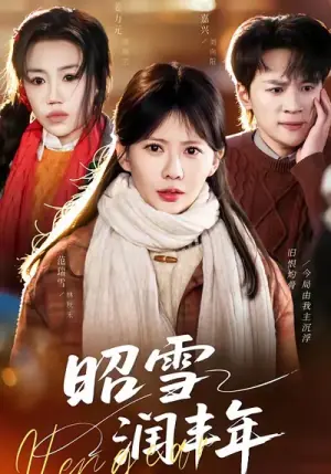 昭雪润丰年海报