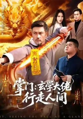 掌门:玄学大佬行走人间海报