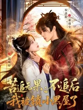 苦追无果,不追后我被锁小黑屋了海报