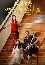 人到中年,恕我锋芒难藏海报