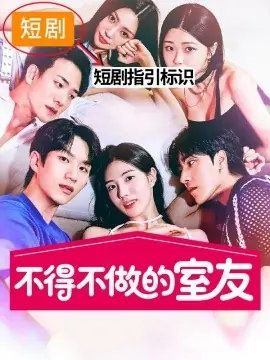 不得不做的室友第二季海报