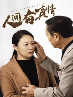 人间有真情海报