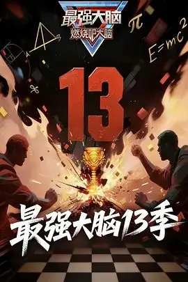 最强大脑第十三季海报