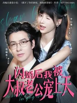 闪婚后,我被大叔老公宠上天海报