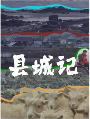 县城记海报