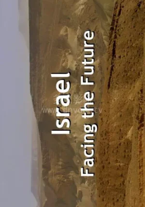 以色列新军武海报