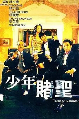 少年赌圣海报