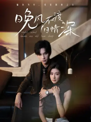 晚风不渡旧情深海报