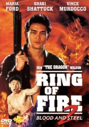 响火2城市威龙海报