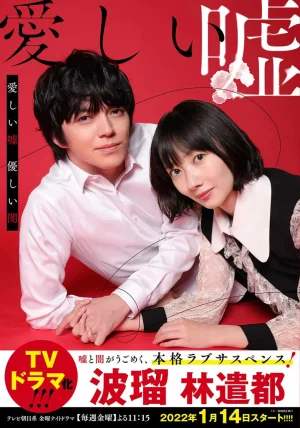 可爱的谎言.温柔的黑暗第一季海报