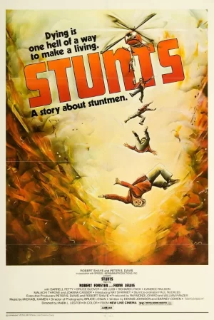 特技杀人王海报