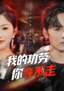 我的功劳,你夺不走海报