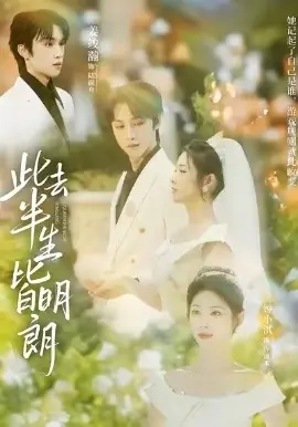 此去半生皆明朗海报